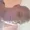DummyDavy's icon
