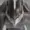 hijoos's icon