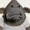 CozyLofiG's icon