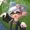 SkullLuigi64's icon