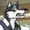 wolfywetfurr's icon