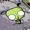 EduX1411's icon