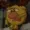 Eraft's icon