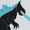 Beastbendyzilla's icon