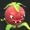 keyreal's icon