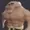 KassKadeGaming's icon