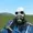 Asmallguy's icon