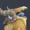 GabrinMSM's icon