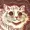 StewsOffTop's icon