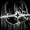 ezakat's icon