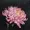 Flowerbane's icon