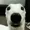 ElPepipe's icon