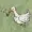 DeuceLeGoose's icon
