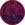 H108Allium