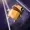 Tem32's icon