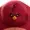 ShowerCertain's icon