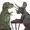 Xenozilla07's icon