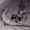 STEFBOLLL's icon