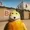 KermitMan22's icon