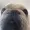 InsertName404's icon