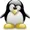 Bordsm's icon