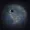 William291's icon