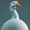 BadgerFish's icon
