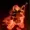 Gloidvv's icon