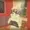 ilikechainsaws's icon