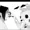 polacos's icon