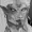 TheBlackHorned's icon