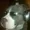 Squidgnz's icon