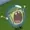 PalmerGamez's icon