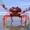 Crabsterthegreat's icon