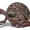 karrada's icon