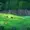 Yate-pillin0's icon