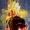 ScarnyxtheSayianMajn's icon