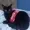 BenjaCDC246's icon