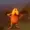 pinggles's icon