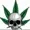 bbmarjuana420's icon