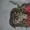 Sp0ceTheFinalFron's icon