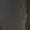 JoAnon34seeer's icon