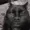 Elvergaslocas261's icon