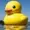 Dusduck's icon