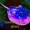 osmium3352's icon