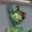 drezzonik's icon