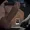 CoxkHungHo3's icon
