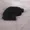 UnoBeats's icon