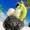 Fhater97's icon