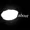 pieabout's icon